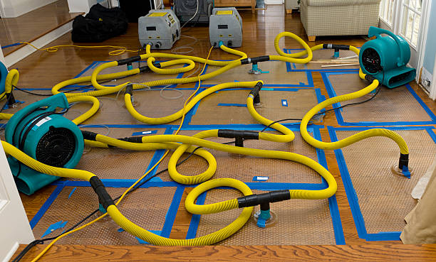 Professional Burst Pipe Water Damage technician working in Loving, NM